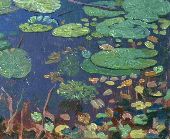 Water Lilies