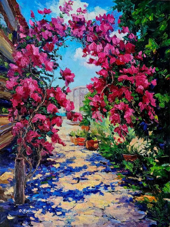 A Path Through Bougainvillea