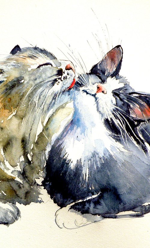 Cats by Kovács Anna Brigitta