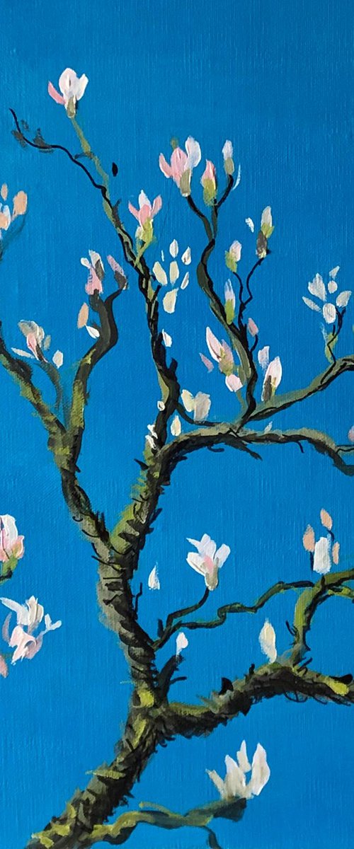 Magnolia In Spring 3 by Shabs  Beigh