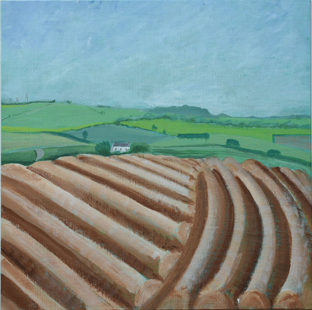 Potato Field by Alison Deegan