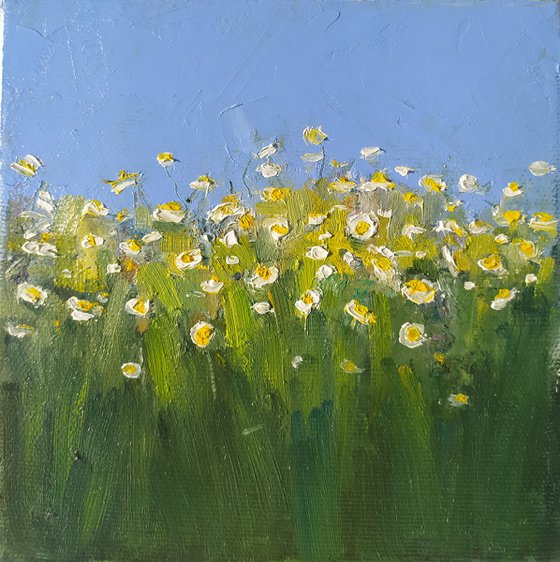 Daisies