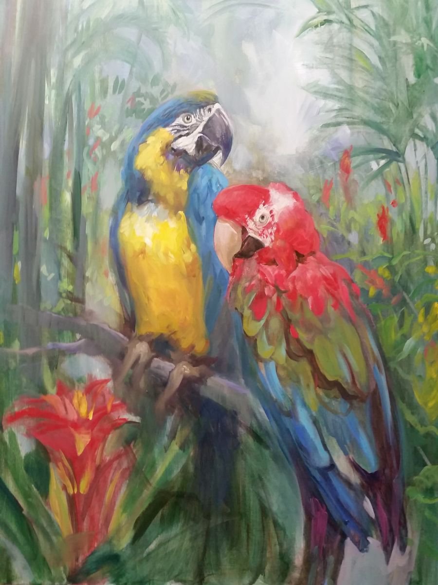 Parrots by HELINDA (Olga Muller)