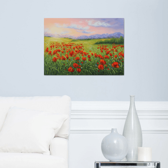 Poppy field in summer 4