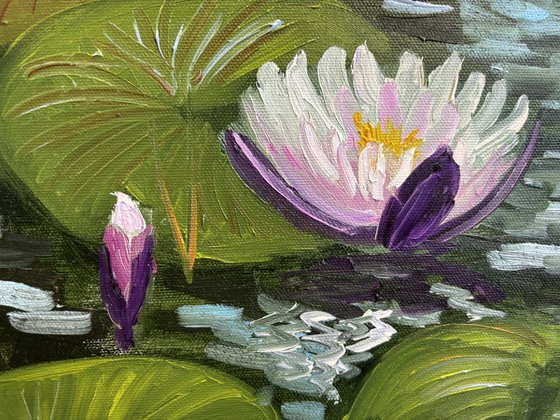 Water Lilies in the Sunlight