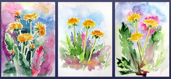 Dandelions collection