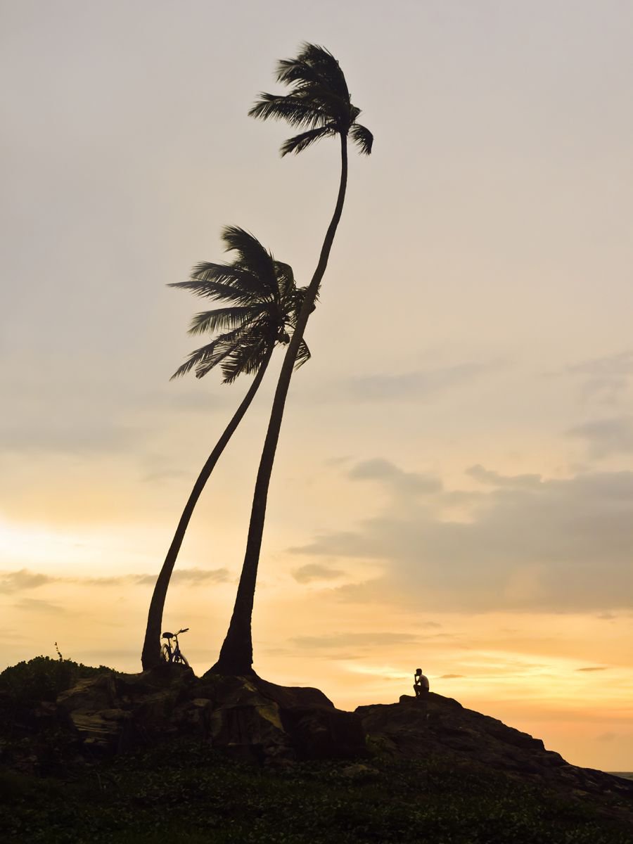 Photorealistic Landscape Photograph By Andrew Lever, 20 X 30, Sunset Thoughts, Original Artwork