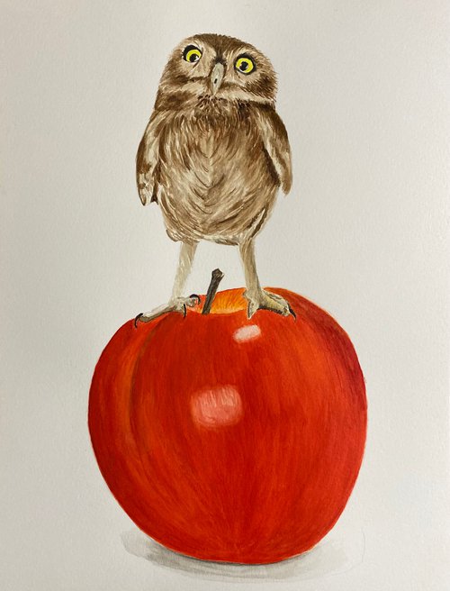 Owl on apple by Maxine Taylor