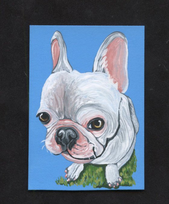 ACEO ATC Original Painting French Bulldog Frenchie Dog Art-Carla Smale