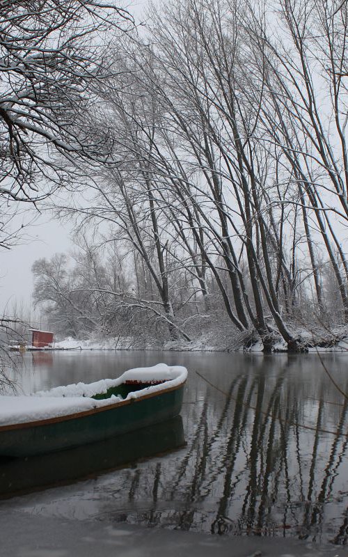 Winter on the river by Sonja  Čvorović