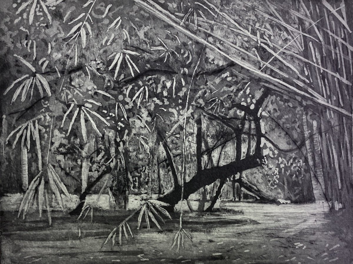 Expressive Botanical Etchings & Engravings By Mario Sanchez, 16 X 12", Dark Tree, Original Artwork