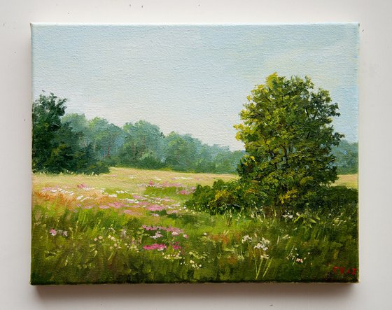 Summer Day. Oil Painting. Country Landscape. Original Art 8 x 10