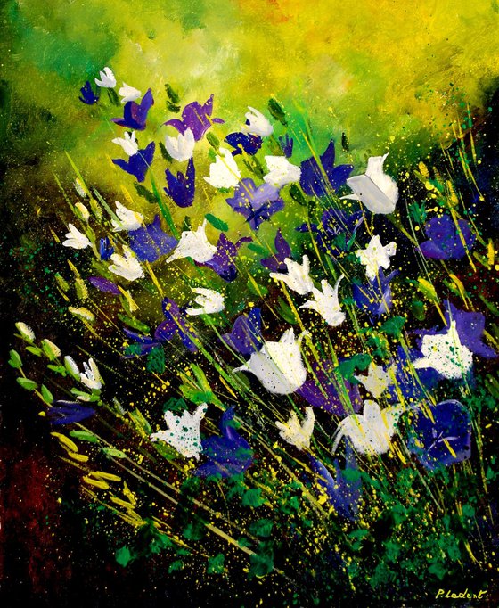 Campanulas