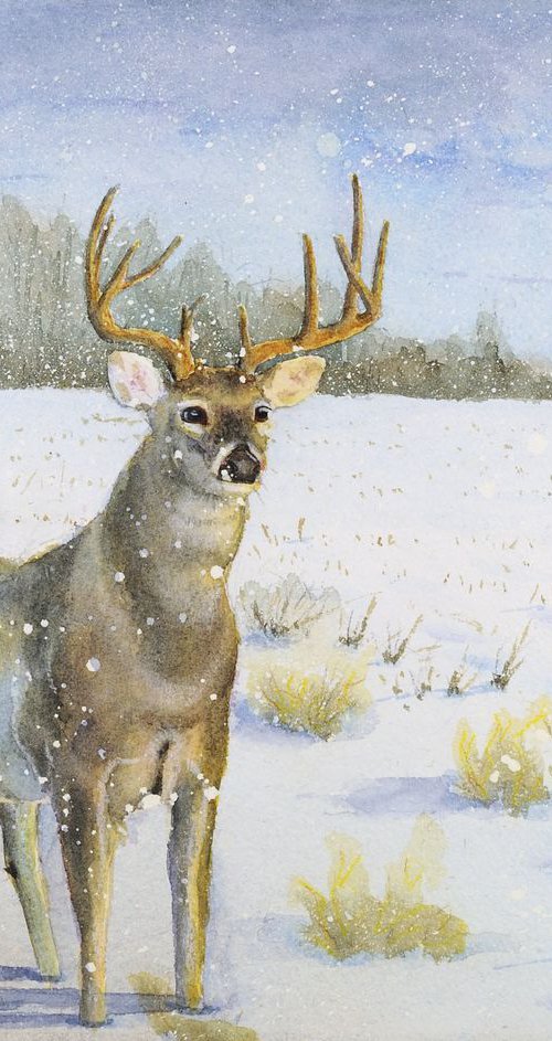 Unseen Visitor - whitetail deer by Jason Edward Doucette