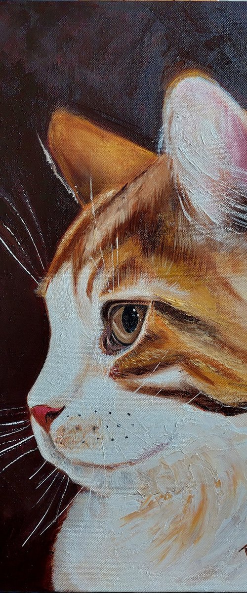 Ginger Cat by Ira Whittaker