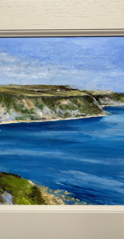 Runswick Bay From Kettleness by Andrew Moodie