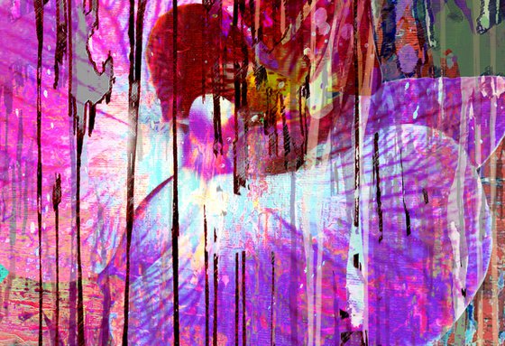 Abstract Pink Orchid