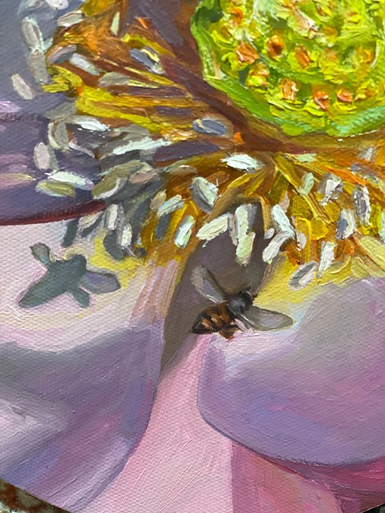 The Lotus and the Bee
