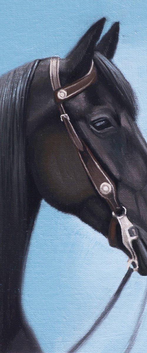 Horse Portrait 46 by Anastasia Parfilo