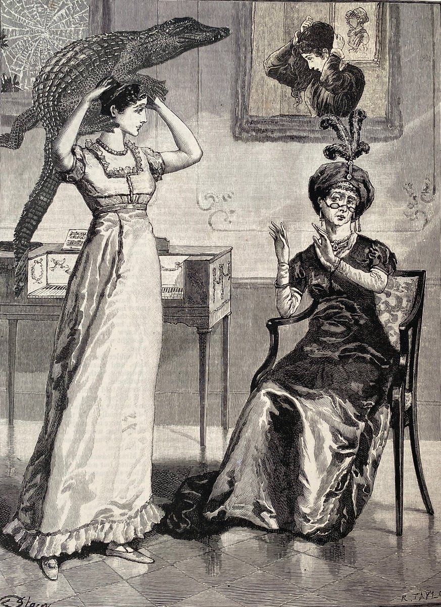 Surrealistic Portrait Collage By Tudor Evans, 7 X 9", The Crocodile Hat, Original Artwork