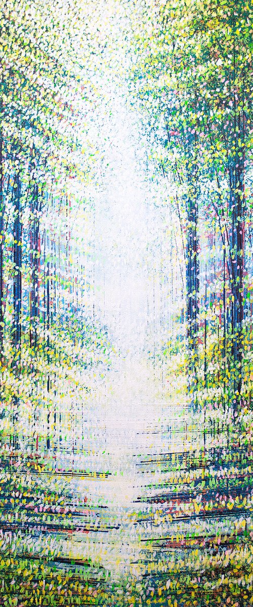 Sunlit Summer Forest Path by Marc Todd