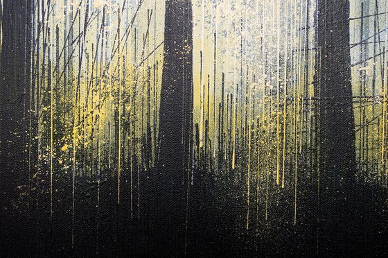 Forest Trees At Last Light