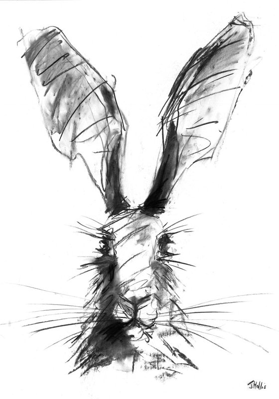 Hare Portrait