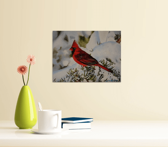 Red Cardinal in Snow