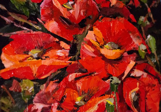"THE POPPIES"
