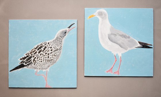 Two Herring Gulls