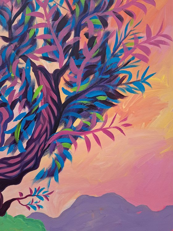Sunset Olive Tree, Altea