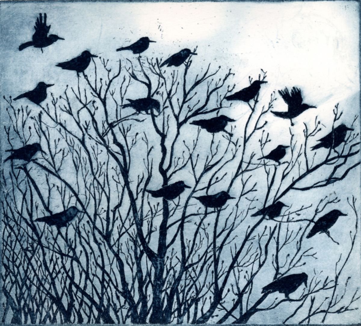 Birds Watching by Janis Goodman