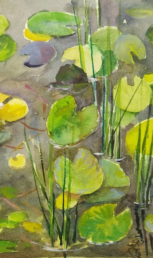 Pond with water Lilies by Ann Krasikova