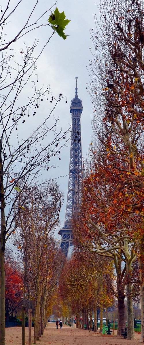 " Autumn palette. Paris "  Limited Edition 1 / 15 by Dmitry Savchenko