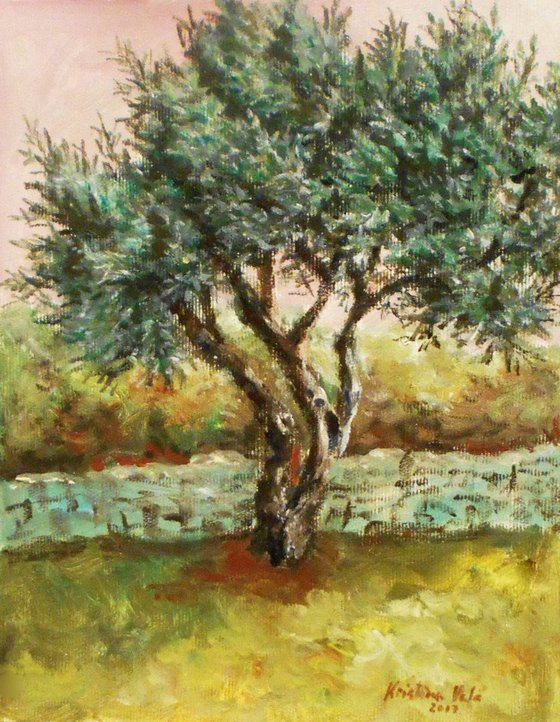 Olive tree