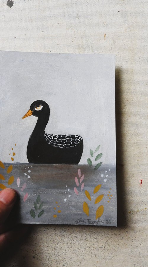 The black duck by Silvia Beneforti