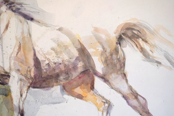 Horse in the run  2(70x50)