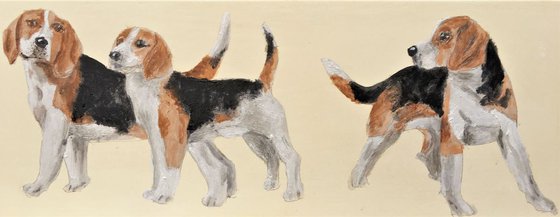 'A Bunch of Happy Beagles'l'