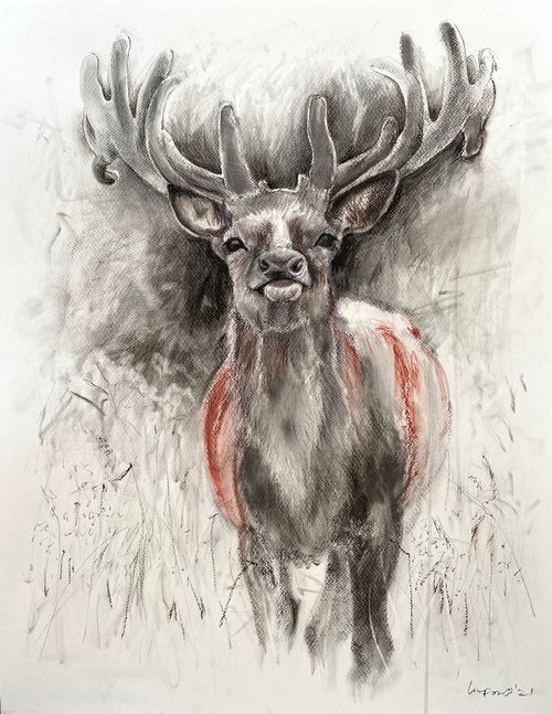 Red Stag by Luci Power