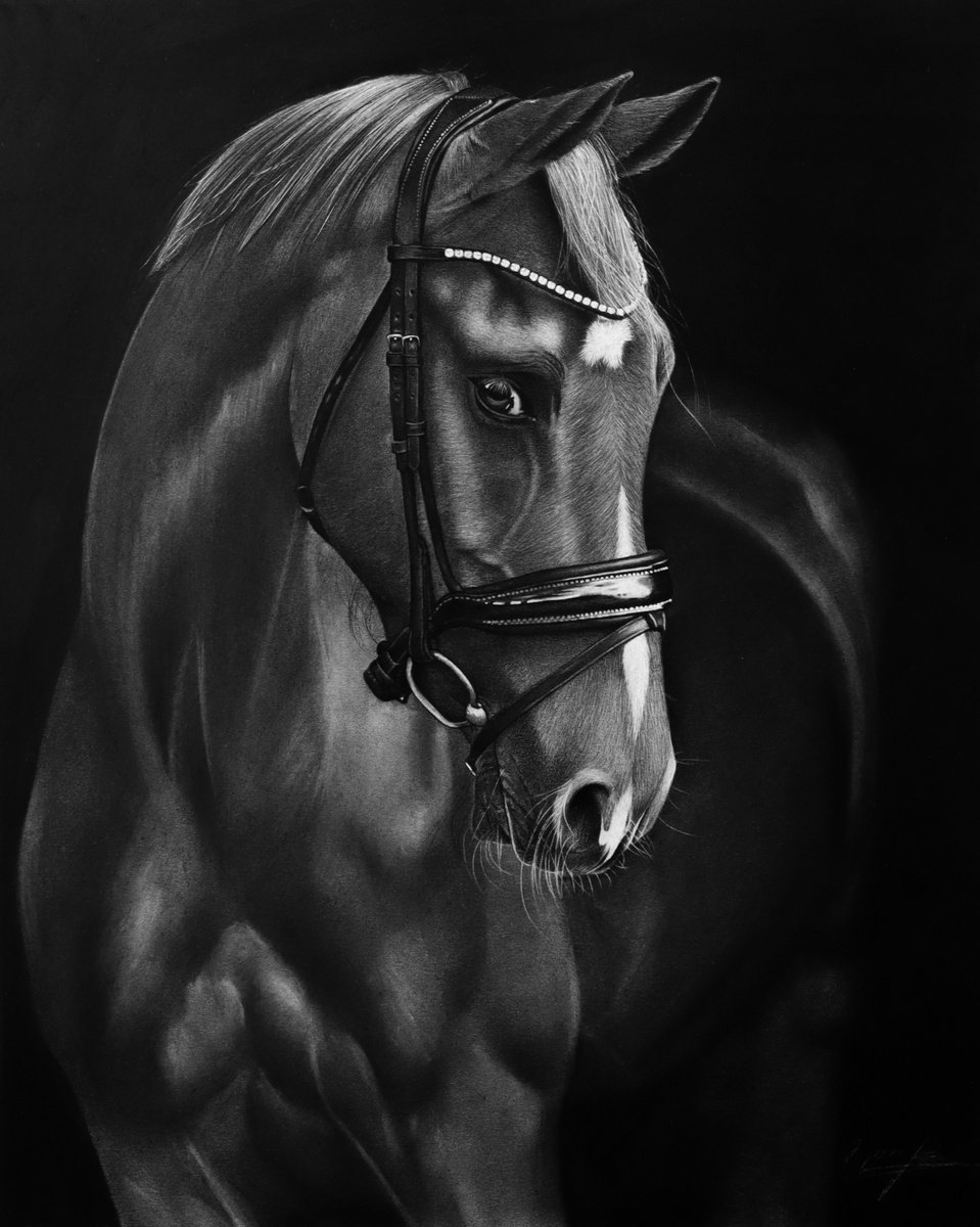 Horse Drawing #2 by Mariam Darchiashvili
