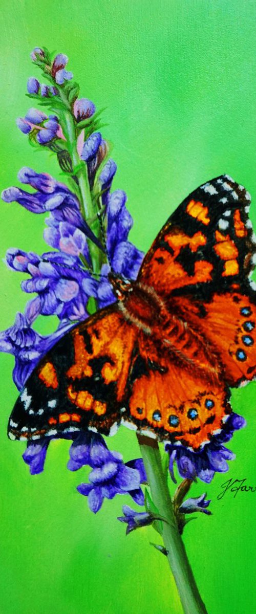 Painted Lady on Purple Toadflax 5x7.5inch by Jayne Farrer