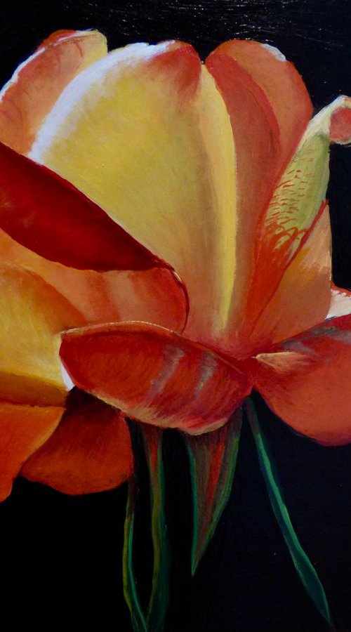 Burning Love by Gilbert Lessard