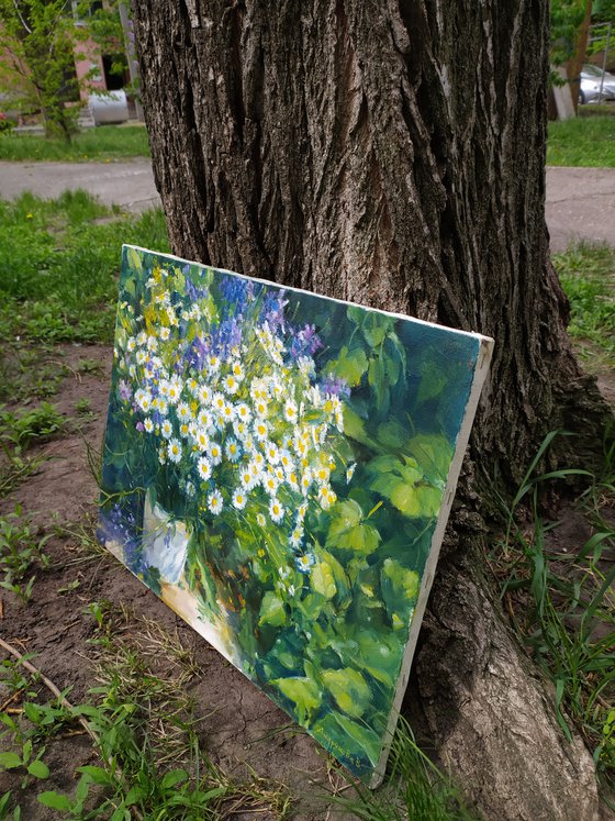 Forest daisies