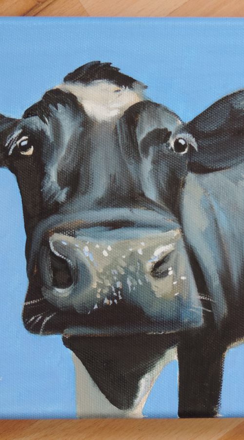 Cow face 8" x 8" by Gordon Bruce