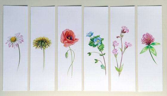 Wild Geranium - from my Wildflowers Bookmarks Collection
