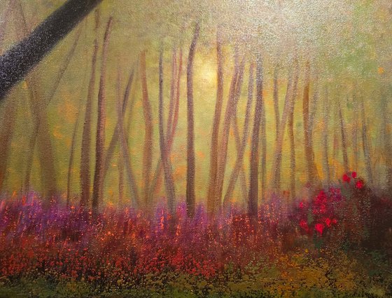 Delight in Stillness