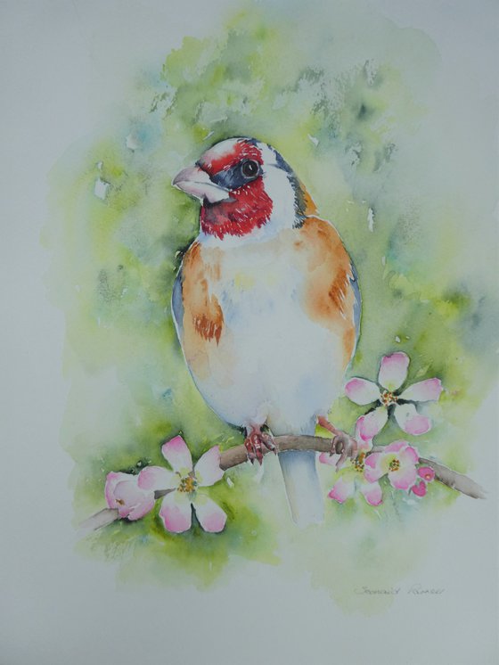 Goldfinch and Apple Blossom