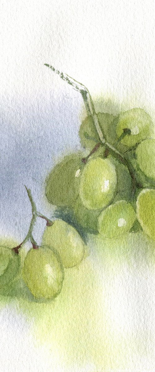 Green Grapes by SVITLANA LAGUTINA