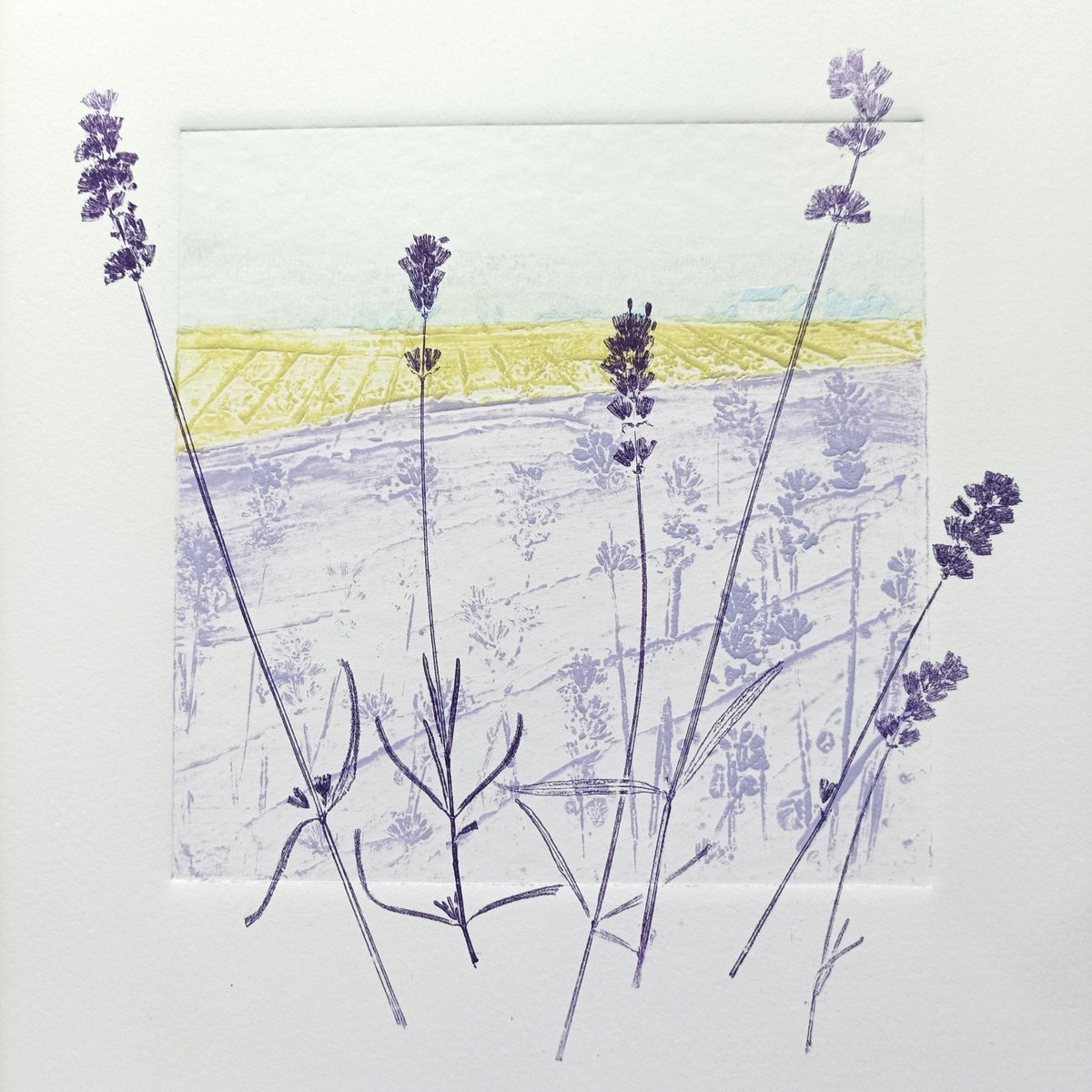Impressionistic Landscape Limited Edition Print By Jo Biggadike, 9 X 9, Lavender Fields, Original Artwork
