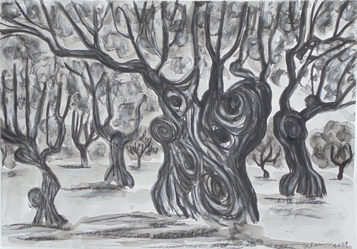Expressive Landscape Ink Drawing By Kirsty Wain, 23 X 17", Field Of Olive Trees, Original Artwork